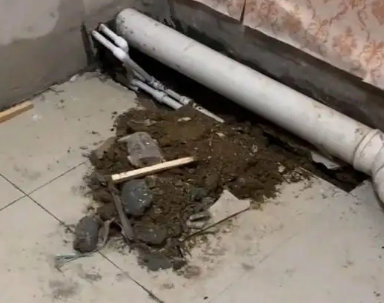 呼图壁卫生间漏水检测哪家好